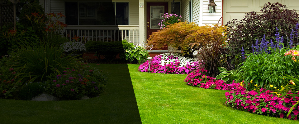 Bayfield Landscapers