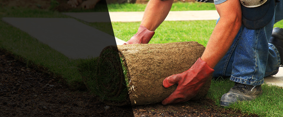 Bayfield Landscapers